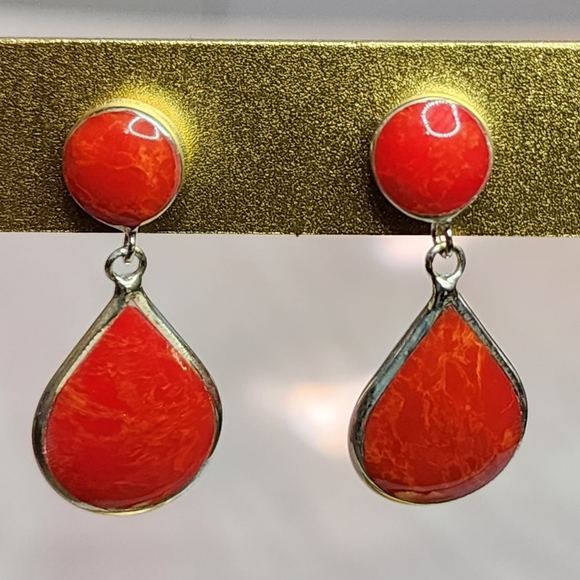 Sponge Coral 🪸 and Sterling Earrings - Picture 1 of 5